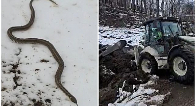 Arızaya giden ekipler gözlerine inanamadı
