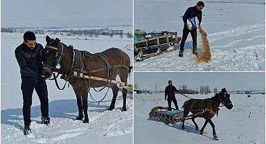 Atlı kızakla dağa çıkıp yaban hayvanlarını besledi