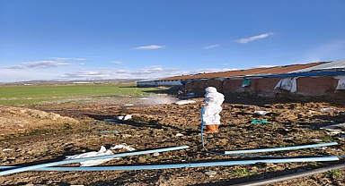 Bahara hazırlık larva ilaçlaması başladı