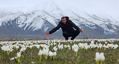 Baharın müjdecisi kardelenler açtı