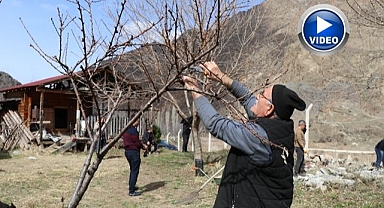 Bahçelerde yaz hazırlığı başladı