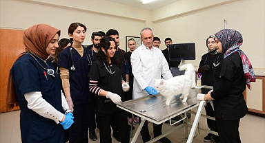 Bilim dünyasını şaşırtan sonuç! 'B' kan grubu baskın çıktı