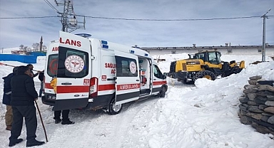 Boynuz darbesiyle ağır yaralandı