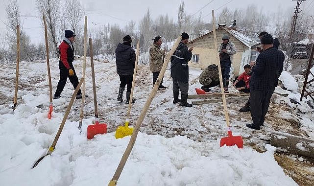Çöken ahırda 5 koyun telef oldu
