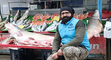 Dev balık görenleri şaşırttı 