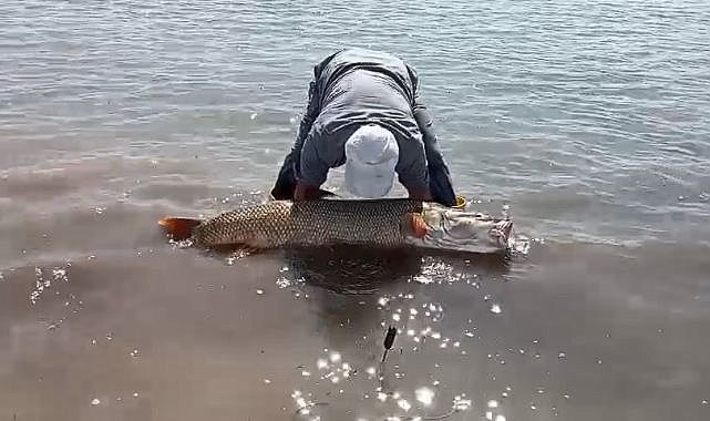 Dev turna Murat Nehri'nde oltaya takıldı