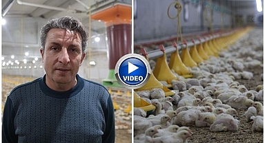 Devletten aldığı destekle ikinci çiftliğini açtı   