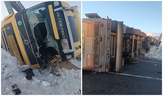 Devrilen tır hayvanları telef etti!