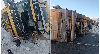 Devrilen tır hayvanları telef etti!