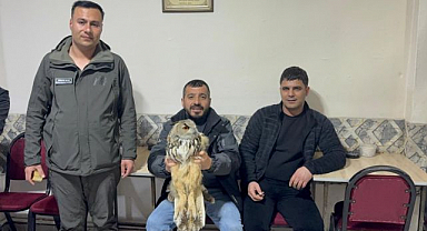 Duyarlı vatandaş puhu kuşuna hayat verdi