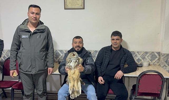 Duyarlı vatandaş puhu kuşuna hayat verdi