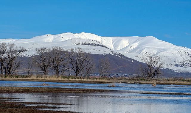 Erzurum'a çığ ve kuvvetli rüzgar uyarısı
