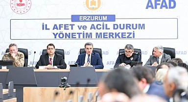 Erzurum'da sahipsiz hayvanlar yakın takipte