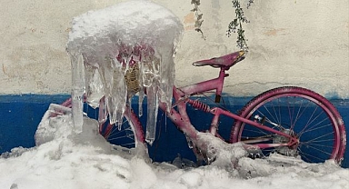 Erzurum'da soğuk hava etkili oldu