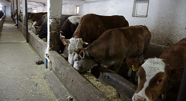 Et üretiminde ilk 5’te yer alan şehir dikkat çekiyor