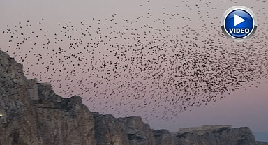 Gökyüzünde şölen oluşturdular