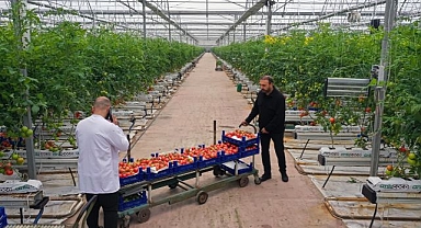 Güneşten gelen bereket! Hedef üretimi artırmak