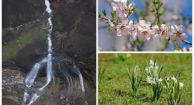 Havanın ısınmasıyla doğa canlandı