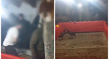 Horoz dövüşü yapan 23 kişiye ceza yağdı!