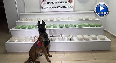 İçişleri Bakanlığı Doğu'daki korkunç rakamı açıkladı
