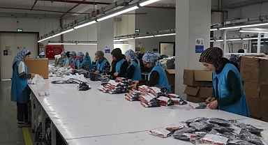  İŞKUR aracılığıyla geçen yıl 5 bin kadına istihdam