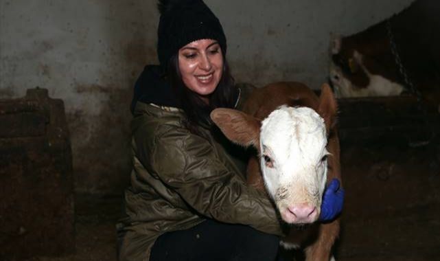 Kadın girişimcinin besicilik başarısı