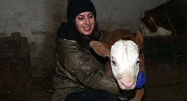 Kadın girişimcinin besicilik başarısı