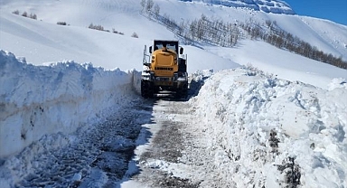 Kar doğuyu felç etti: Yerleşim yerlerine ulaşım yok!