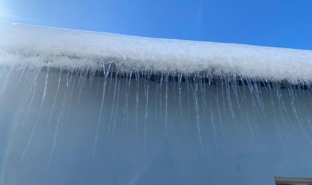 Kar yağışının ardından don etkili oldu 