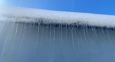 Kar yağışının ardından don etkili oldu 