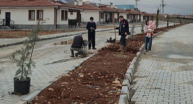 Köy konutları alanında peyzaj çalışması