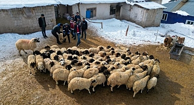 Küçükbaş hayvancılık devlet desteğiyle artıyor