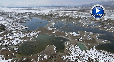 Kuş türleri drone ile görüntülendi