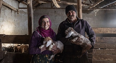Kuzu ve oğlak doğumları besiciyi zorluyor