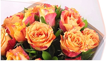 Megakent İstanbul'da Çiçek Gönderme Sanatı ve Modern Çözümler