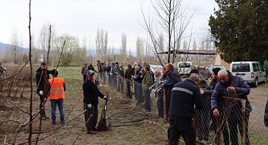 Meyve fidanları 30 Mart’ta satışa çıkıyor 