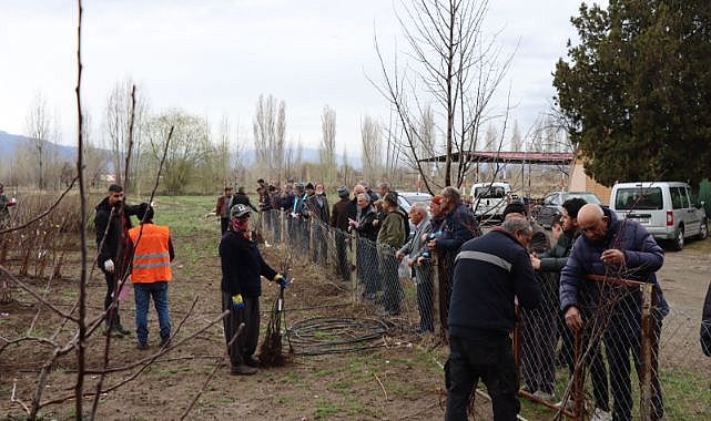 Meyve fidanları 30 Mart’ta satışa çıkıyor
