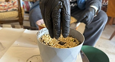 Nevruz'un simgesi semeniler hazırlanmaya başlandı  