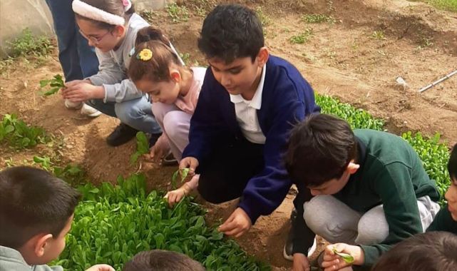 Öğrenciler serada üretim yapıyor