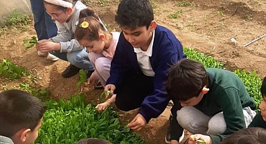 Öğrenciler serada üretim yapıyor