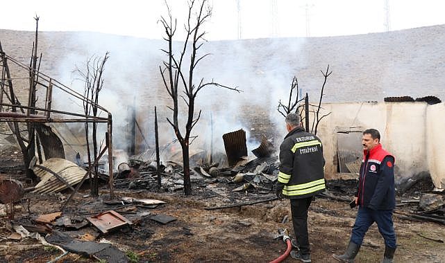 Oltu'da korkutan yangın: Arı kovanları yandı