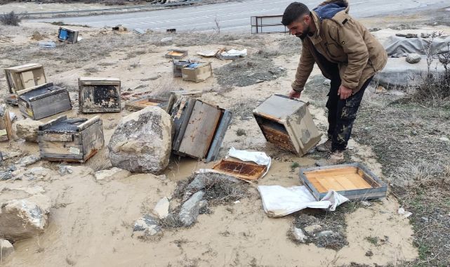 Sel suları arı kovanlarını vurdu: 150 kovan zarar gördü