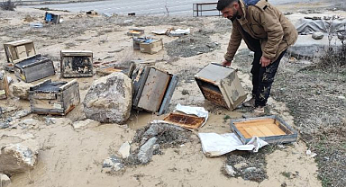Sel suları arı kovanlarını vurdu: 150 kovan zarar gördü