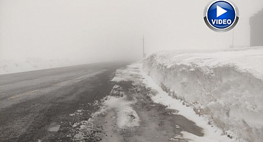 Sis yolu bastı! Göz gözü görmedi