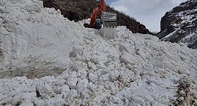 Son 30 yılın en büyük çığı, köy yolu kapandı