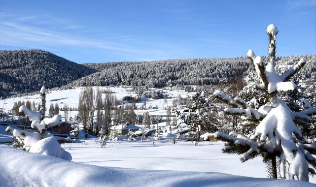 Sulak alanlar dondu, bitki ve ağaçlar kırağı tuttu