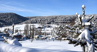 Sulak alanlar dondu, bitki ve ağaçlar kırağı tuttu