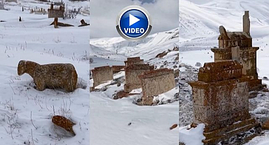 Tarihi miras gün yüzüne çıkıyor   