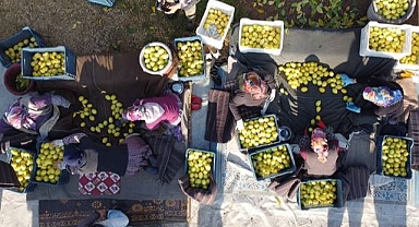 Tarım ürünlerinde zam rüzgârı sürüyor