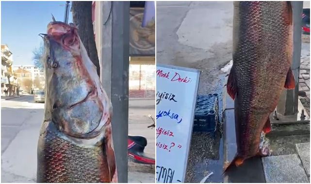 Turnayı gözünden vurdu!